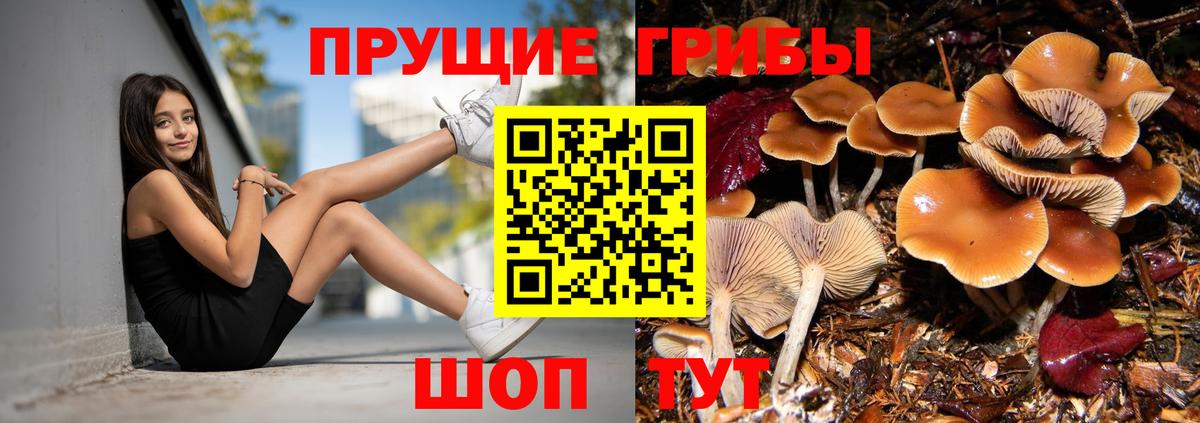 Артёмовский  Псилоцибиновые грибы Psilocybe  купить наркотики сайты  Вход с VPN 